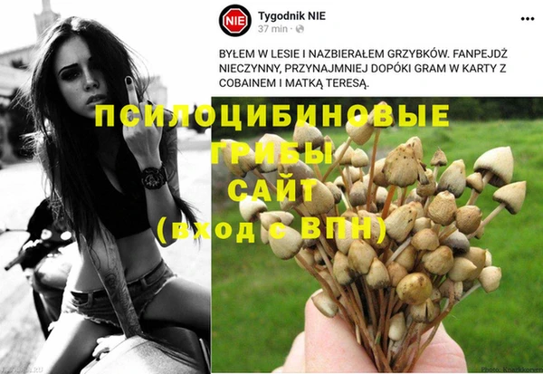 spice Аркадак
