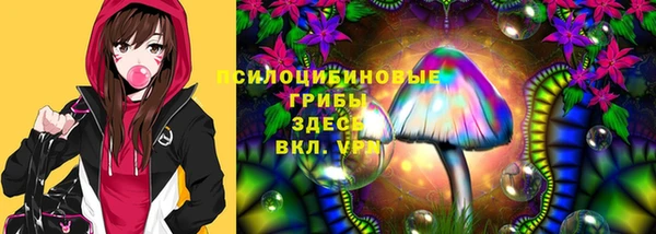 гашиш Арсеньев