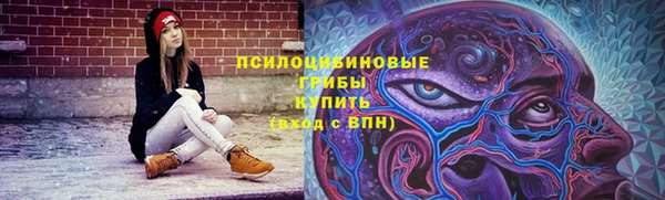 молекула духа Алзамай