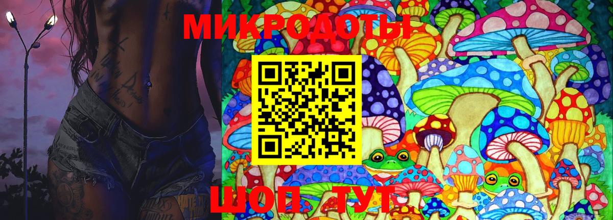 Псилоцибиновые грибы Psilocybine cubensis  Вход с VPN  Майкоп 